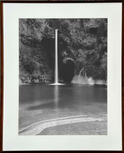 Lote 4 (Outubro-2025)