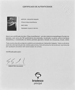 Lote 4 b (Junho-2026)