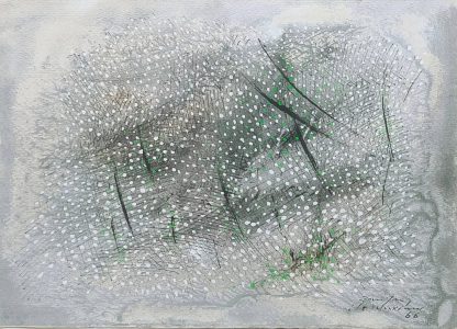 Lote 67 (Junho-2026)